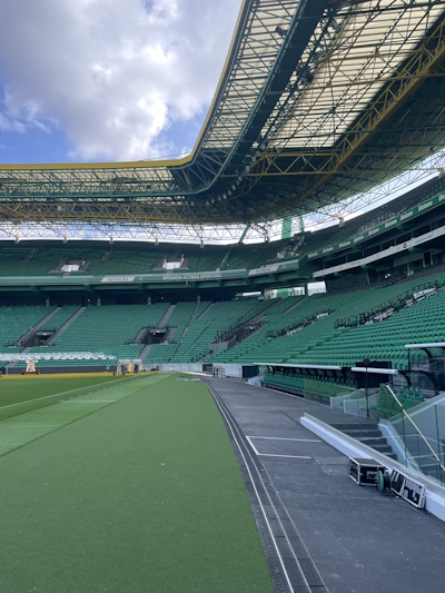 Estádió Jose Alvalade pitch 1