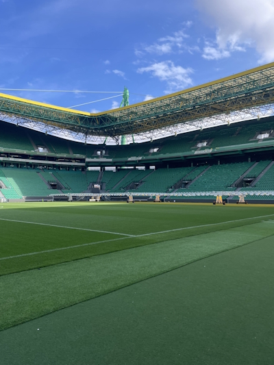 Estádió Jose Alvalade pitch 2