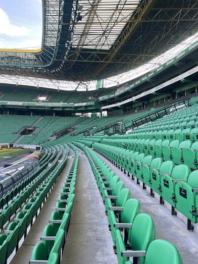 Estádió Jose Alvalade pitch 3